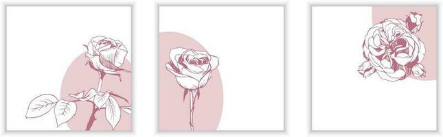 Set of three vector greeting card templates with minimalistic design and lineart roses on white