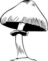 Vector black and white silky sheath mushroom doodle style isolated on white background