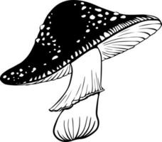 Vector black and white fly agaric mushroom doodle style isolated on white background