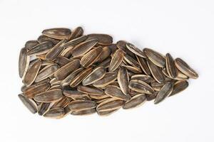 Sunflower seed on white background photo