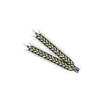 wheat icon illustration design, icon design for template. vector