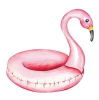 Flamingo rubber ring painted with watercolor.Summer Swimming  Pool Inflantable Rubber Pink Flamingo. vector