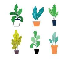 Indoor flowers and house plants collection. Houseplant vector modern illustration