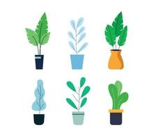 Indoor flowers and plants collection. Houseplant vector modern illustration