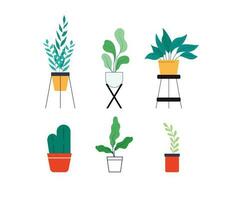Indoor flowers and plants collection. Houseplant vector modern flat illustration