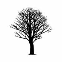 Vector bare tree silhouette illustration