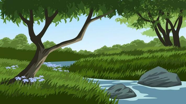 Beautiful forest with river and rocks