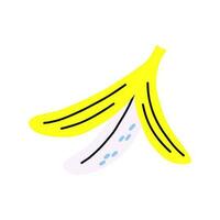 Tropical acid fruit isolated open banana vector