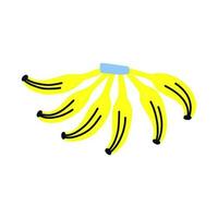 Tropical acid fruit isolated bunch banana vector