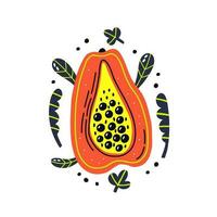 ácido Fruta papaya rebanada con hojas vector