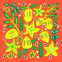 Decorative acid set tropical fruit carambola and leaf vector