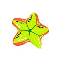 Decorative Acid fruit carambola vector