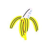 Tropical acid fruit isolated yellow open peel banana vector