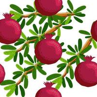 Seamless pattern with pomegranates. Decorative patterns of the pomegranate fruit. Shana Tova, Jewish New Year vector