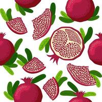 Seamless pattern with pomegranates. Decorative patterns of the pomegranate fruit. Shana Tova, Jewish New Year vector