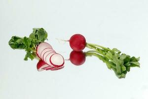 Small red radish on white reflection ackground photo