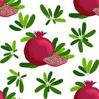 Seamless pattern with pomegranates. Decorative patterns of the pomegranate fruit. Shana Tova, Jewish New Year vector