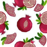 Seamless pattern with pomegranates. Decorative patterns of the pomegranate fruit. Shana Tova, Jewish New Year vector