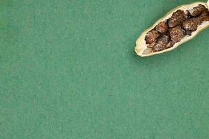 Cardamom fragrant spice seed closeup macro on green paper background photo