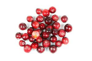 Small Red Cranberry photo