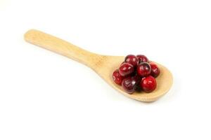 Small Red Cranberry photo