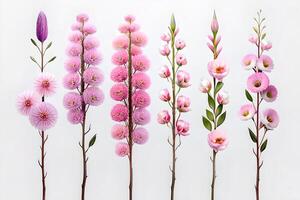 Collection of beautiful pink wax flower twigs created with technology. photo