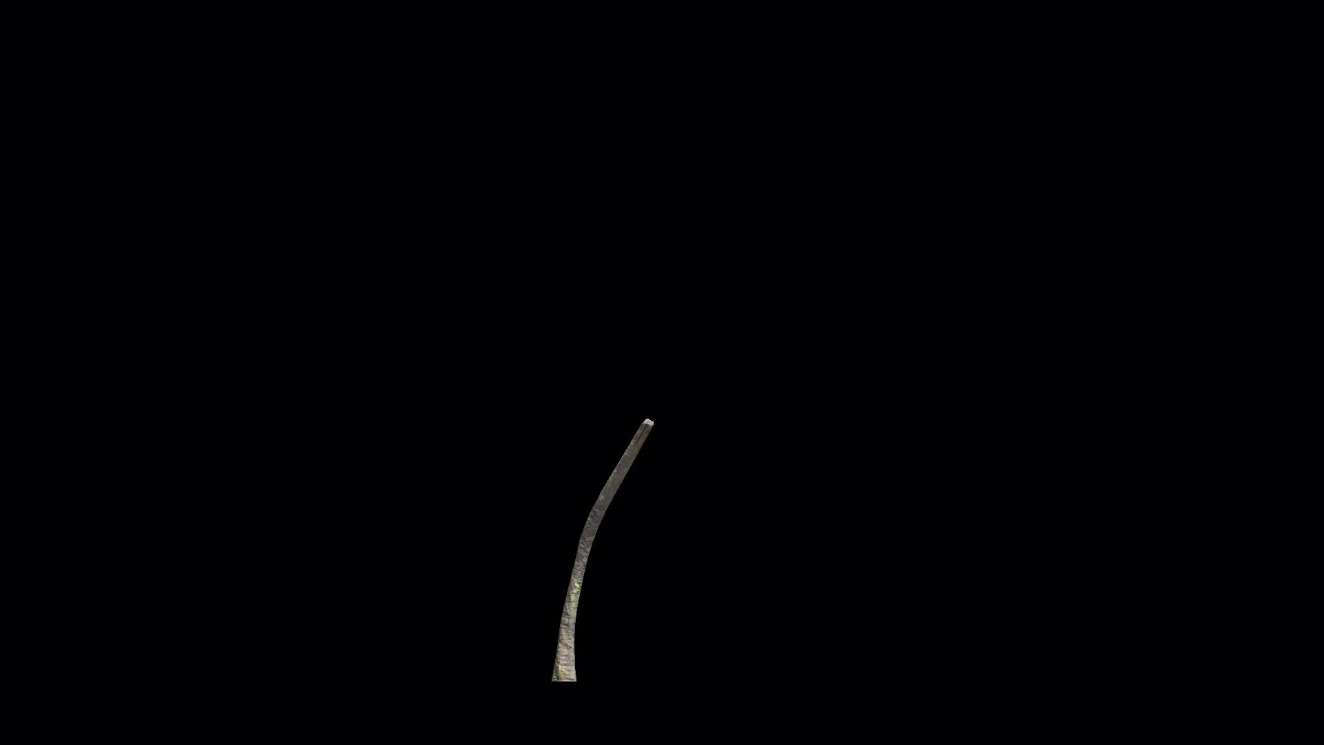 Palm Tree Grow Time Lapse 24318081 Stock Video At Vecteezy palm-tree-grow-time-lapse-24318081-stock-video-at-vecteezy