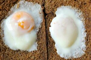 Poached fried egg on brown whole meal brad toast photo