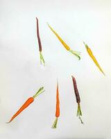 Colorful Rainbow Carrot photo