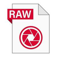 Modern flat design of RAW file icon for web vector