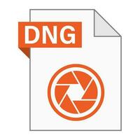 diseño plano moderno del icono de archivo dng para web vector