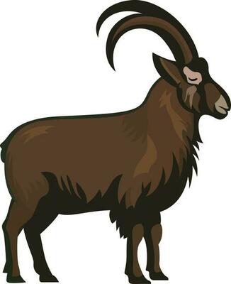 Nilgiri tahr animal vector illustration nilgiritragus hylocrius sheep looking animal vector image