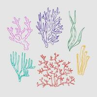 Coral .Hand drawn illustration of corals and algae, underwater sea and ocean plants. Graphic drawing in  sketch style. Design element. Line art. For card, print, poster, logo, t-shirt printing. Vector