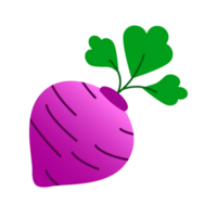 The Violet Beetroot png