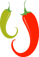 chaud le Chili poivre isolé illustration png