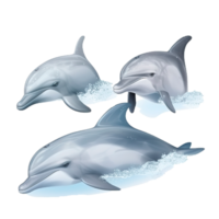 Dolphin isolated on Transparent background, generate ai png