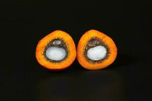 Oil Palm Fruit Product photo