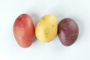 red purple yellow multi tri color small baby potato on white background photo