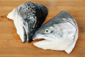 Cut Cleaned Salmon Trout Fish Head half photo