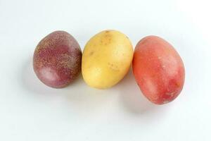 red purple yellow multi tri color small baby potato on white background photo