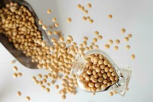Depth of filed soya been pouring splashing from hart shape glass bottle over metal scoop photo
