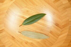 Bay leaf herb spice photo