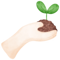 eco simpático salvar tierra, uno mano sostener crecido planta símbolo acuarela pintura png
