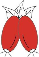 Rosehip With Leaves Icon in Red And White Color. vector