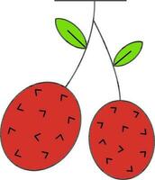 Lychee icon or Symbol in Red Color. vector