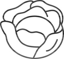 Cabbage icon in thin line art. vector