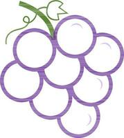 Flat style illustration grapes bunch. vector