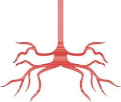 Human bronchus icon in red color style. vector