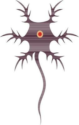 Symbol of neuron system in body.