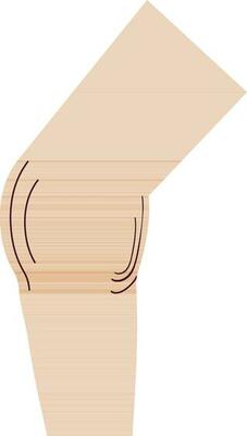 Symbol of knee icon of body part.